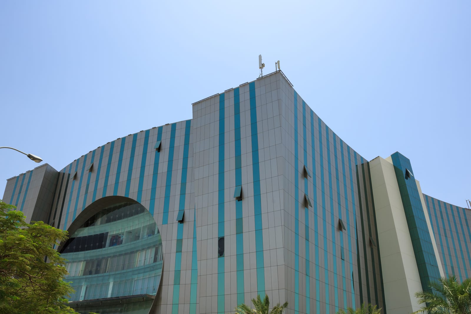 Al Adrak in 2013